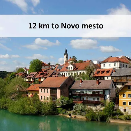 In - Kranjska Krain 26095 בית נופש *