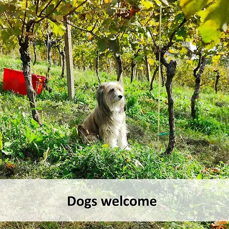 Počitniška hiša In - Kranjska Krain 26095 *