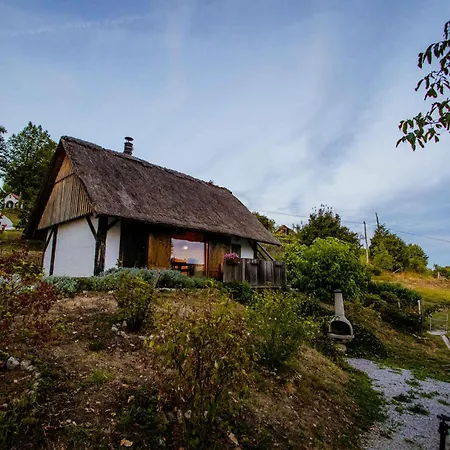 In - Kranjska Krain 26095 Počitniška hiša